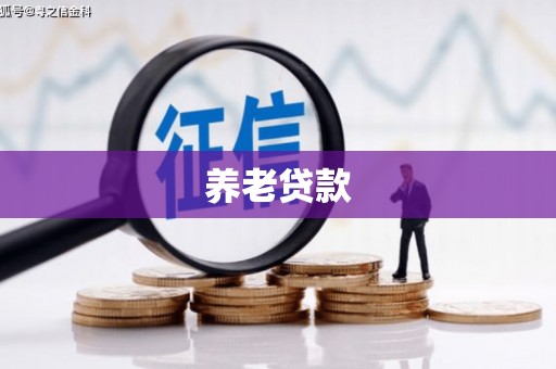 新会养老贷款