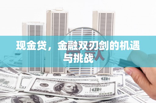 新会现金贷，金融双刃剑的机遇与挑战