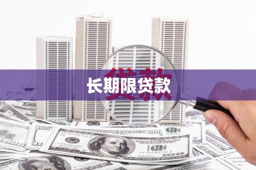 新会长期限贷款