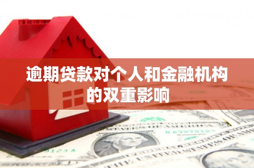 新会逾期贷款对个人和金融机构的双重影响
