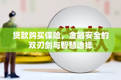 新会贷款购买保险，金融安全的双刃剑与智慧选择