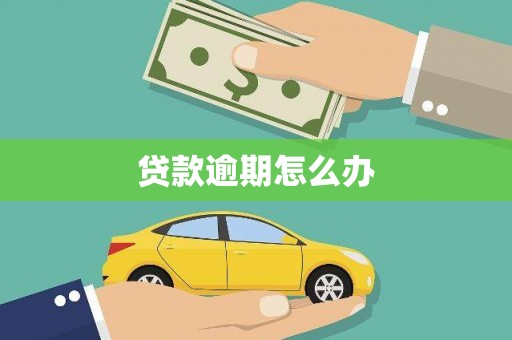 新会贷款逾期怎么办