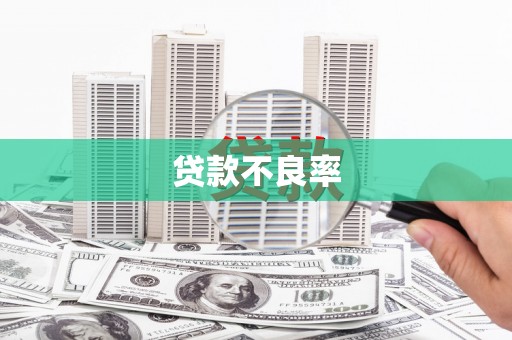 新会贷款不良率