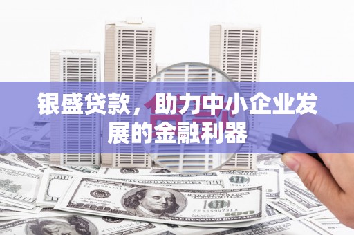 新会银盛贷款，助力中小企业发展的金融利器