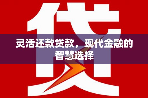 新会灵活还款贷款，现代金融的智慧选择