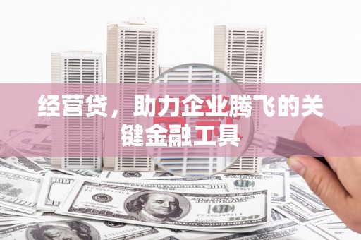 新会经营贷，助力企业腾飞的关键金融工具