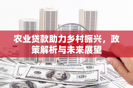 新会农业贷款助力乡村振兴，政策解析与未来展望