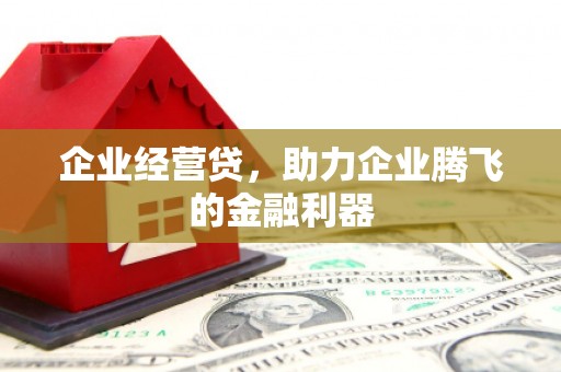 新会企业经营贷，助力企业腾飞的金融利器