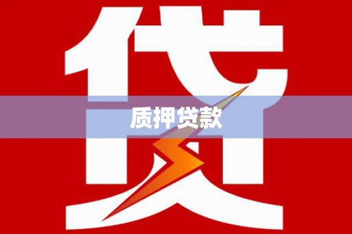 新会质押贷款