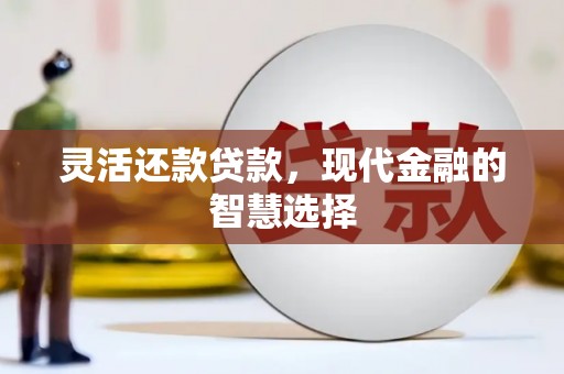新会灵活还款贷款，现代金融的智慧选择