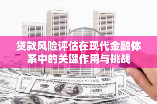 新会贷款风险评估在现代金融体系中的关键作用与挑战
