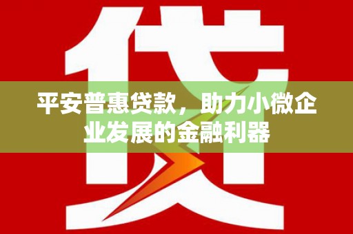 新会平安普惠贷款，助力小微企业发展的金融利器