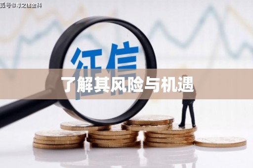 新会了解其风险与机遇