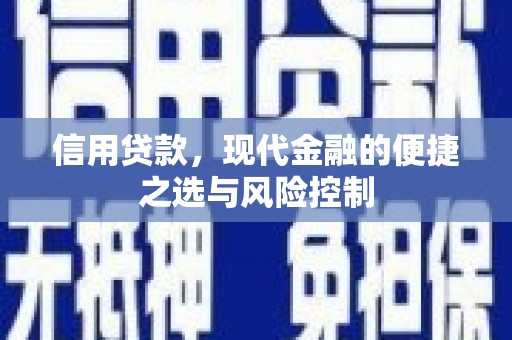 新会信用贷款，现代金融的便捷之选与风险控制