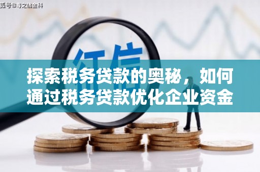 新会探索税务贷款的奥秘，如何通过税务贷款优化企业资金流