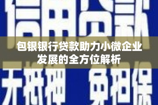 新会包银银行贷款助力小微企业发展的全方位解析