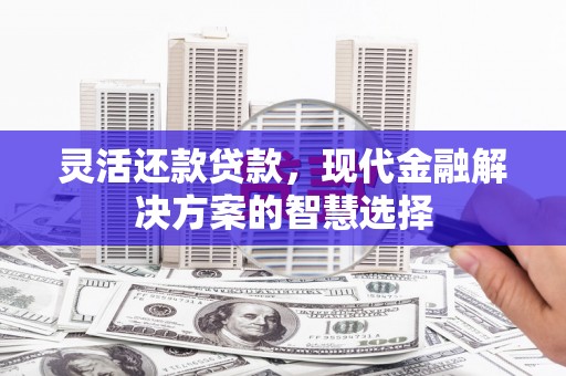 新会灵活还款贷款，现代金融解决方案的智慧选择