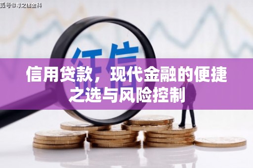 新会信用贷款，现代金融的便捷之选与风险控制