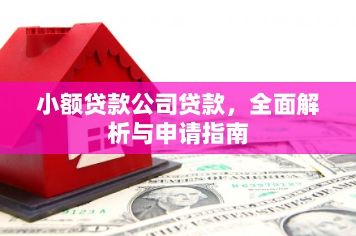 新会小额贷款公司贷款，全面解析与申请指南