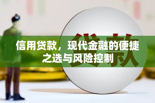 新会信用贷款，现代金融的便捷之选与风险控制