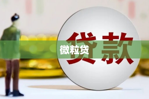 新会微粒贷