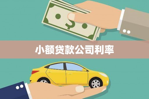 新会小额贷款公司利率