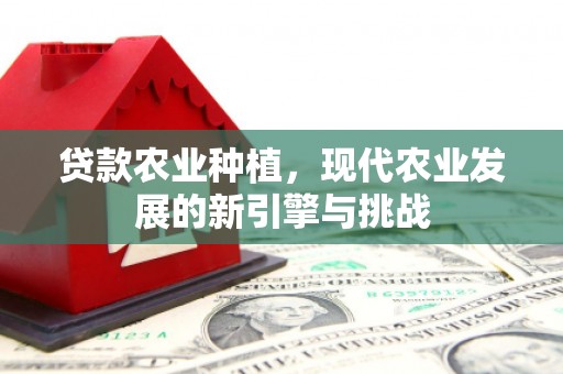 新会贷款农业种植，现代农业发展的新引擎与挑战