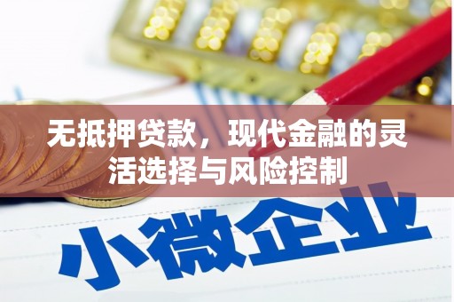 新会无抵押贷款，现代金融的灵活选择与风险控制