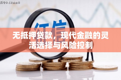 新会无抵押贷款，现代金融的灵活选择与风险控制