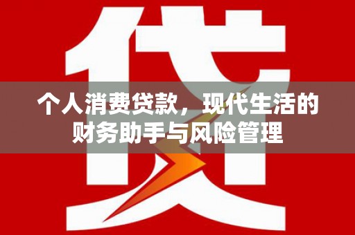 新会个人消费贷款，现代生活的财务助手与风险管理