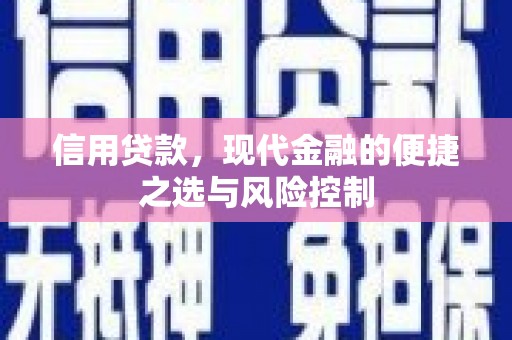 新会信用贷款，现代金融的便捷之选与风险控制