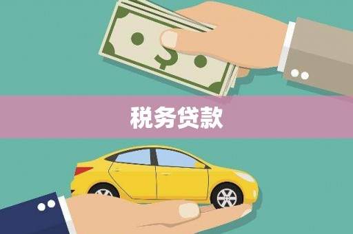 新会税务贷款