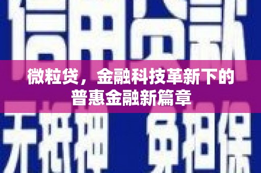 新会微粒贷，金融科技革新下的普惠金融新篇章