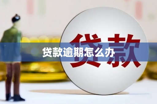 新会贷款逾期怎么办