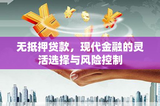 新会无抵押贷款，现代金融的灵活选择与风险控制