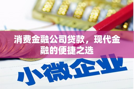 新会消费金融公司贷款，现代金融的便捷之选