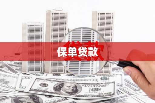 新会保单贷款