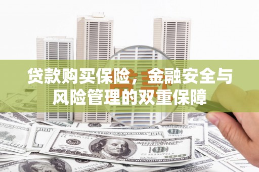 新会贷款购买保险，金融安全与风险管理的双重保障