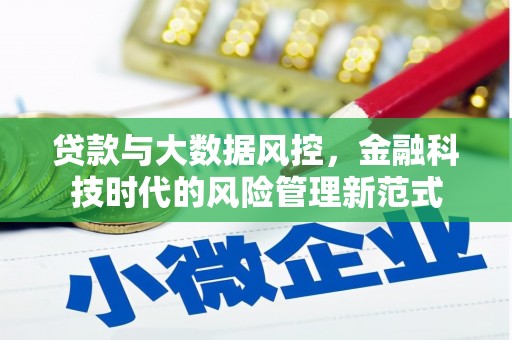 新会贷款与大数据风控，金融科技时代的风险管理新范式