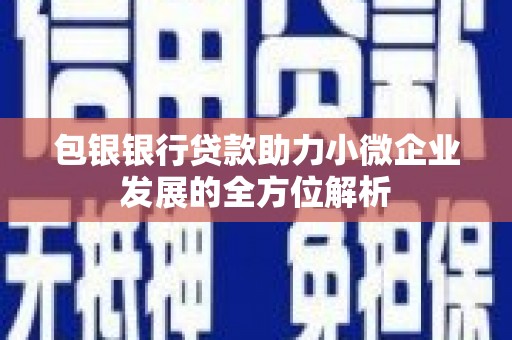 新会包银银行贷款助力小微企业发展的全方位解析