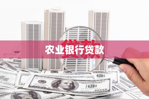新会农业银行贷款