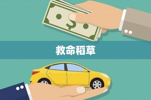 新会救命稻草