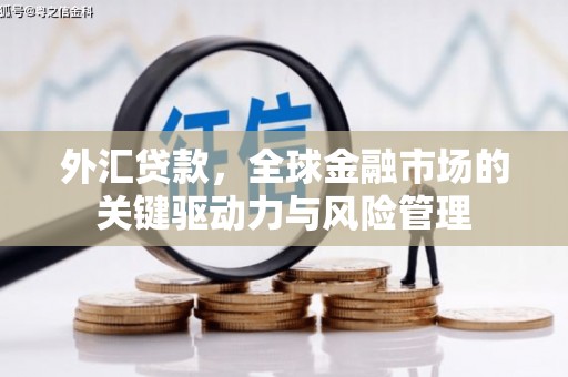 新会外汇贷款，全球金融市场的关键驱动力与风险管理