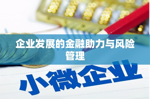 新会企业发展的金融助力与风险管理