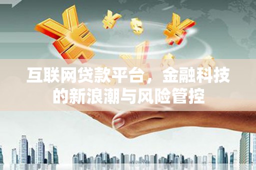 新会互联网贷款平台，金融科技的新浪潮与风险管控