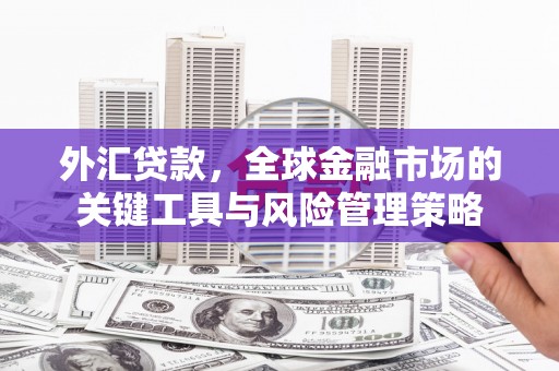 新会外汇贷款，全球金融市场的关键工具与风险管理策略