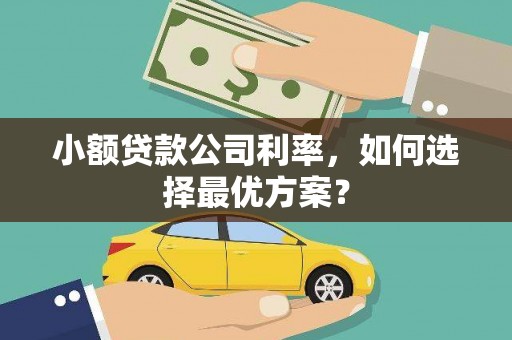 新会小额贷款公司利率，如何选择最优方案？