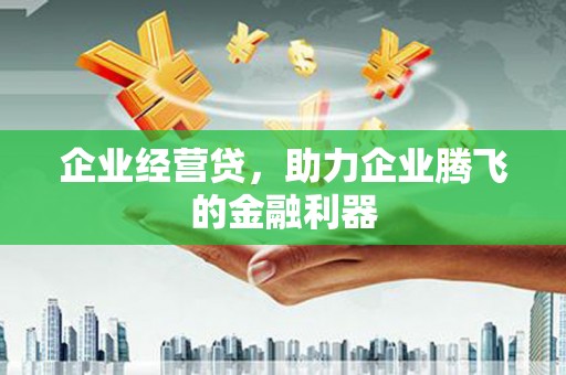 新会企业经营贷，助力企业腾飞的金融利器