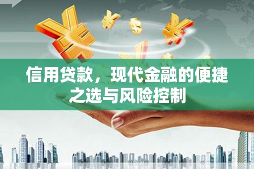 新会信用贷款，现代金融的便捷之选与风险控制