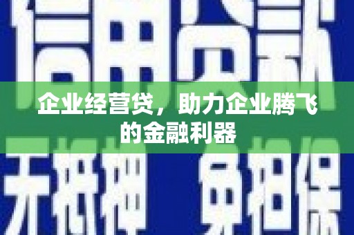 新会企业经营贷，助力企业腾飞的金融利器